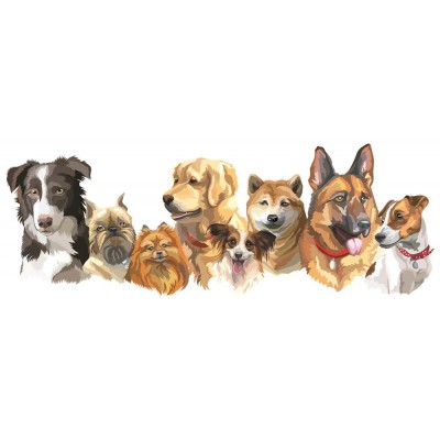 Sekiz Adet Cins Köpekler 3 Boyutlu Duvar Kağıdı 